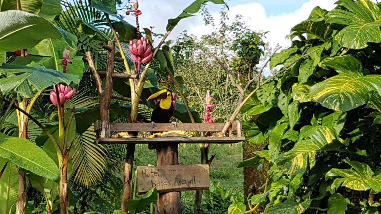 Hotel Brisas Arenal La Fortuna Dış mekan fotoğraf