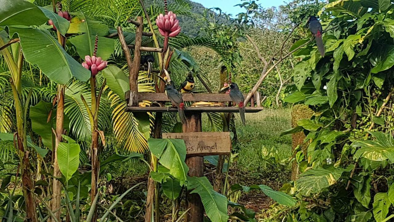 Hotel Brisas Arenal La Fortuna Dış mekan fotoğraf